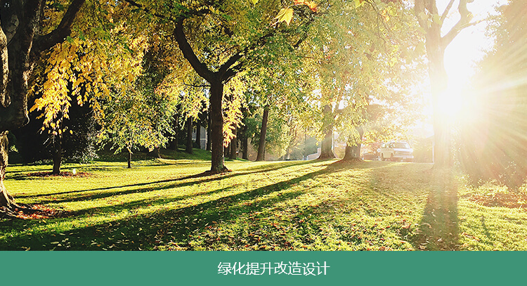 北（běi）京園（yuán）林綠化